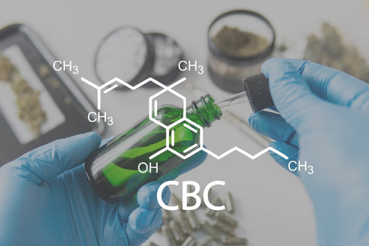 Where can you buy CBC distillate?