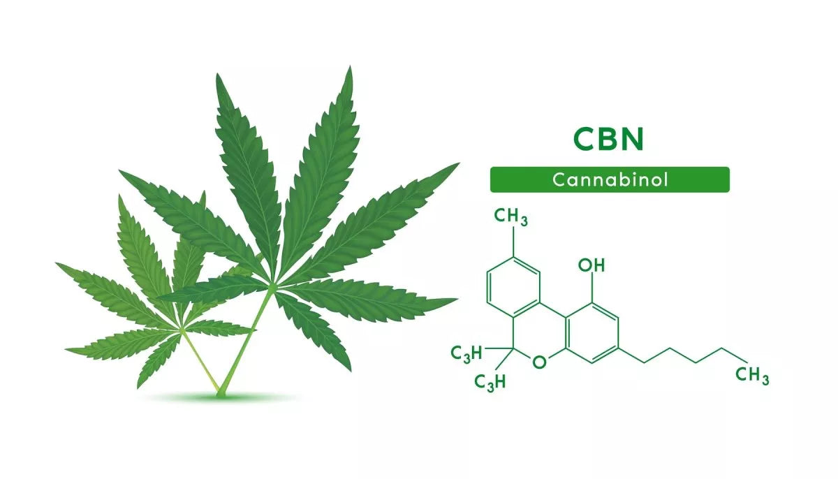 What is CBN Isolate?