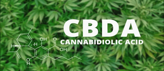Buy CBDA Isolate