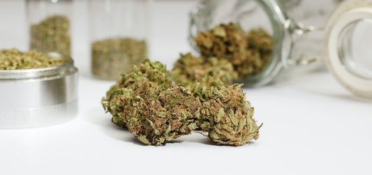 Trimmed cannabis buds