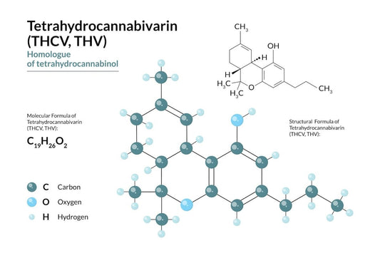 Chemical structure of THCV (Tetrahydrocannabivarin)