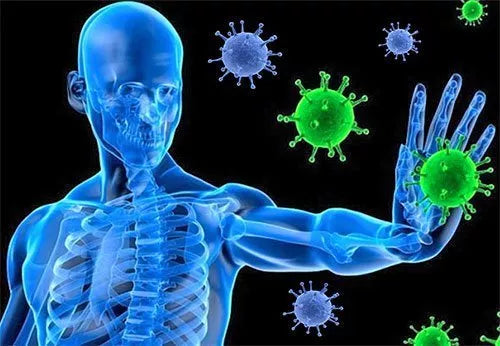 Boosting Your Immune System with CBD