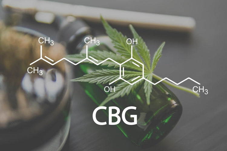 CBG Products - Zero Point Extraction, LLC