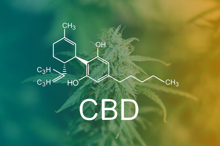 CBD Products - Zero Point Extraction