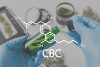 Where can you buy CBC distillate?