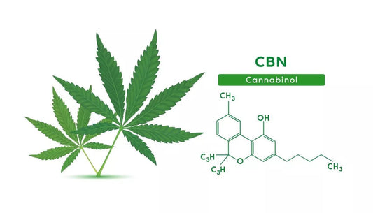 What is CBN Isolate?