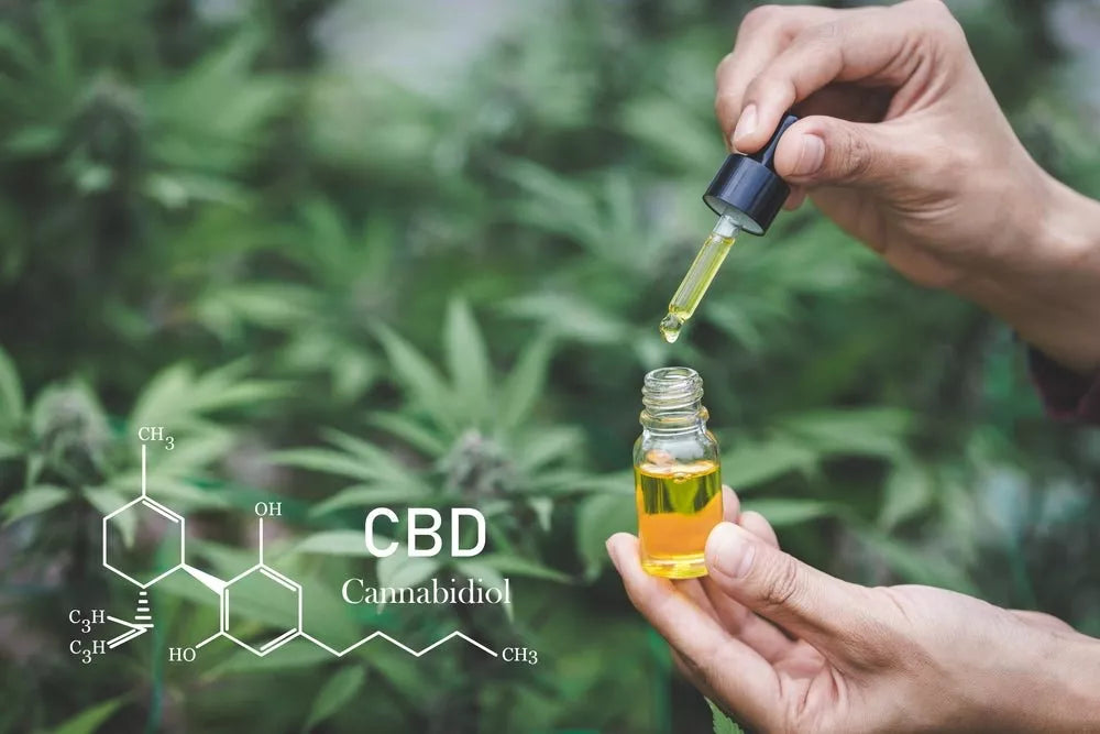 CBD tincture with cannabis plants in background