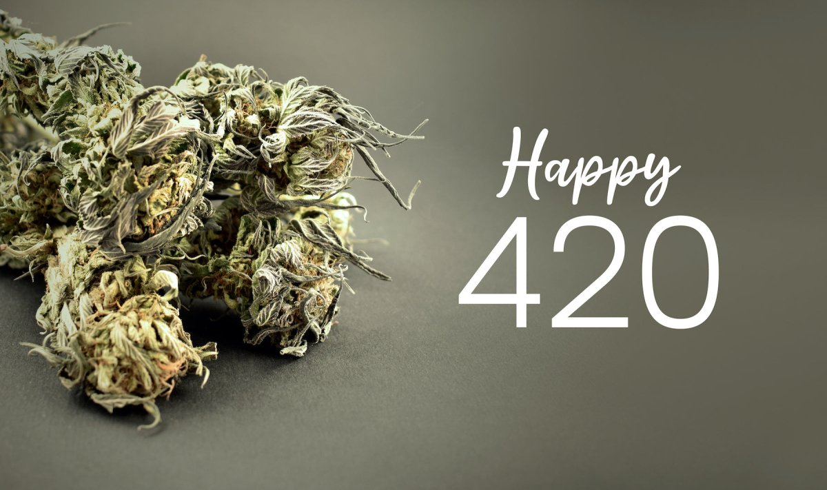 Cannabis bud on plain background with Happy 420 Day