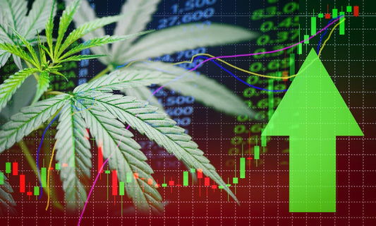 Marijuana stocks and DEA rescheduling announcement