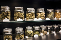 Medical marijuana strains at a dispensary