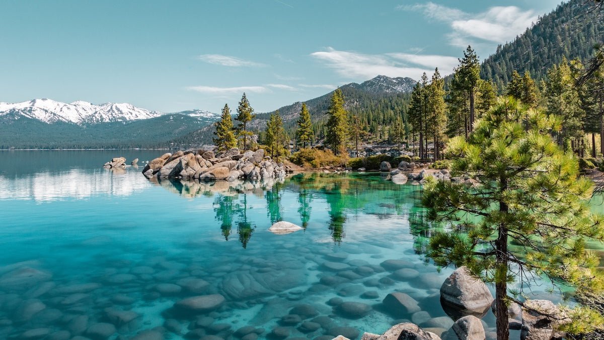 Can you buy Delta 9 in Nevada?