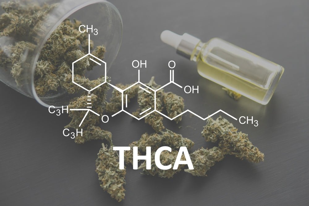 What is THCA?