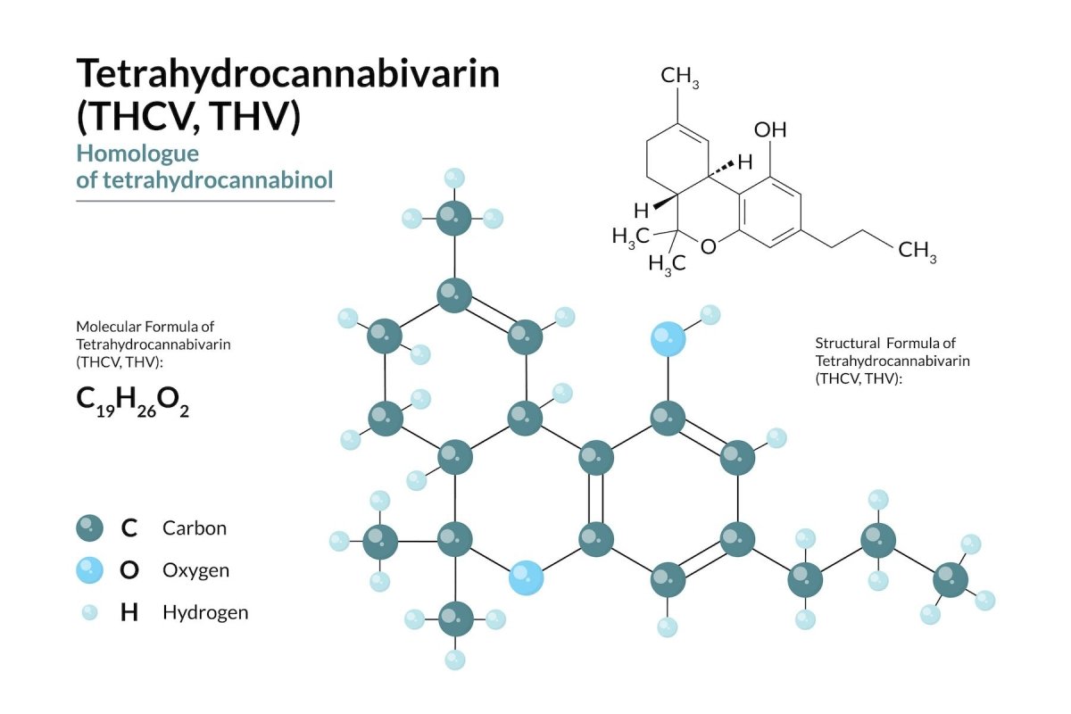 Chemical structure of THCV (Tetrahydrocannabivarin)