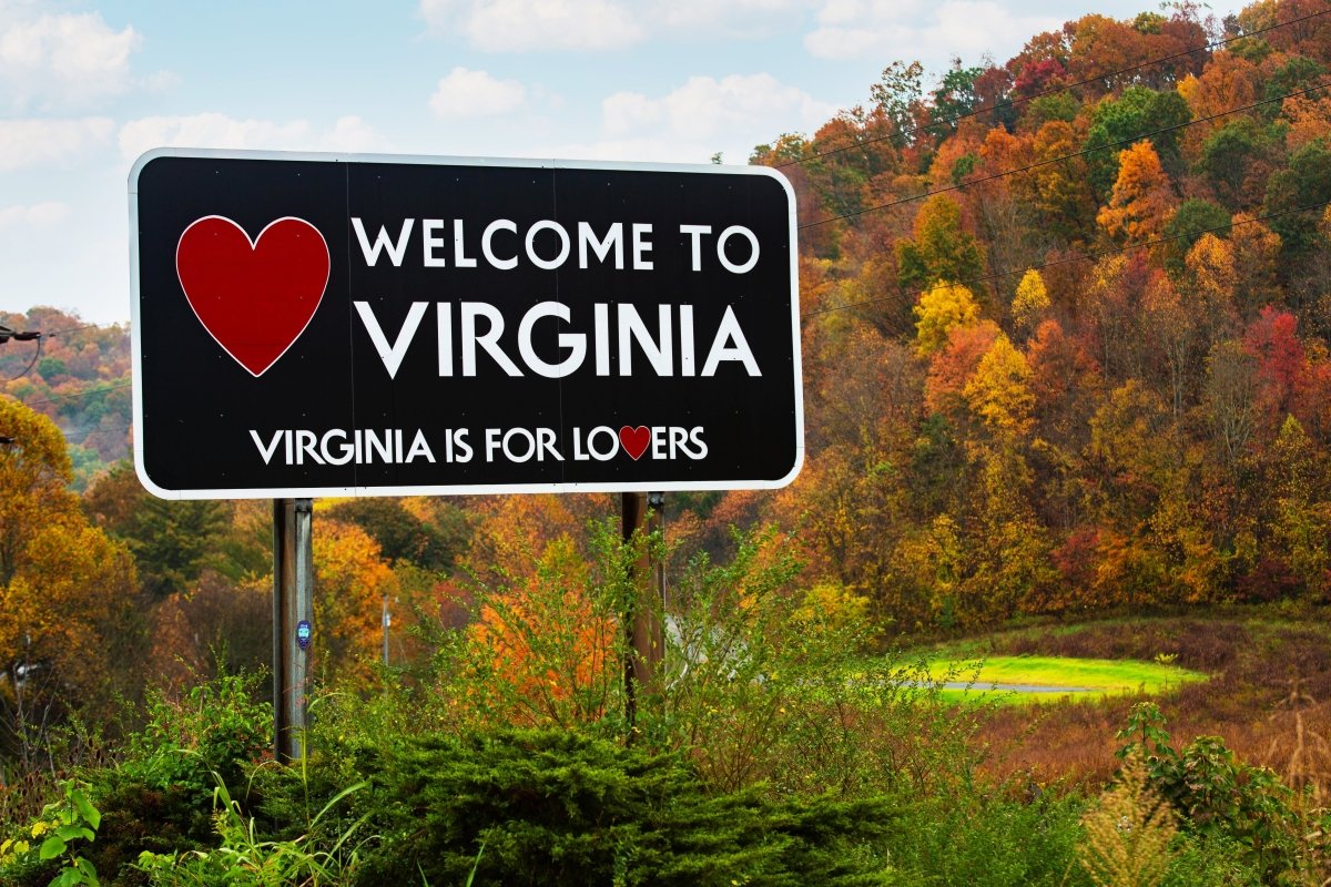 Can you buy Delta 9 in Virginia?