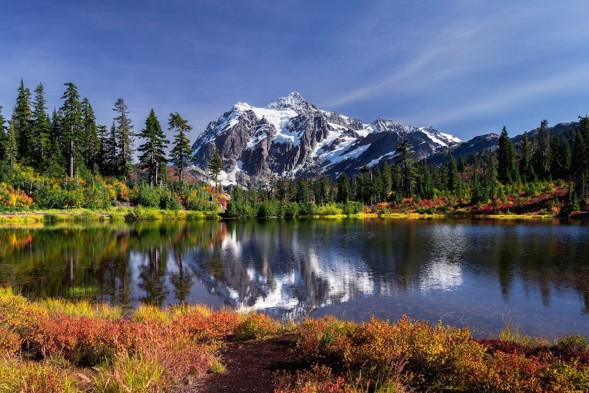 Can you buy Delta 9 THC in Washington?