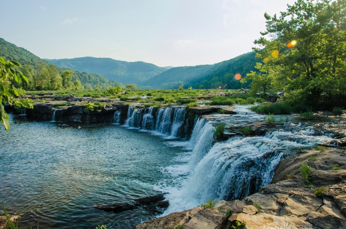 Can you buy Delta 9 THC in West Virginia?