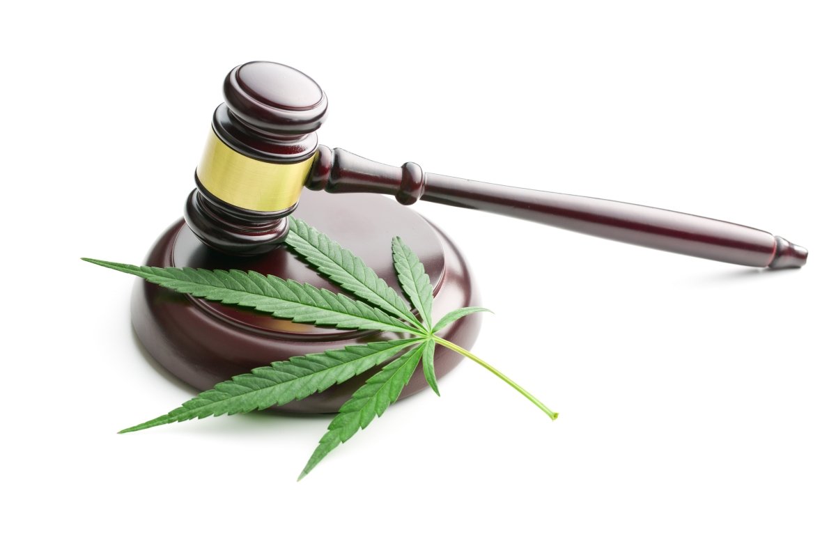 Federal and state hemp laws with gavel in courtroom