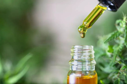 What Are CBD Tinctures?