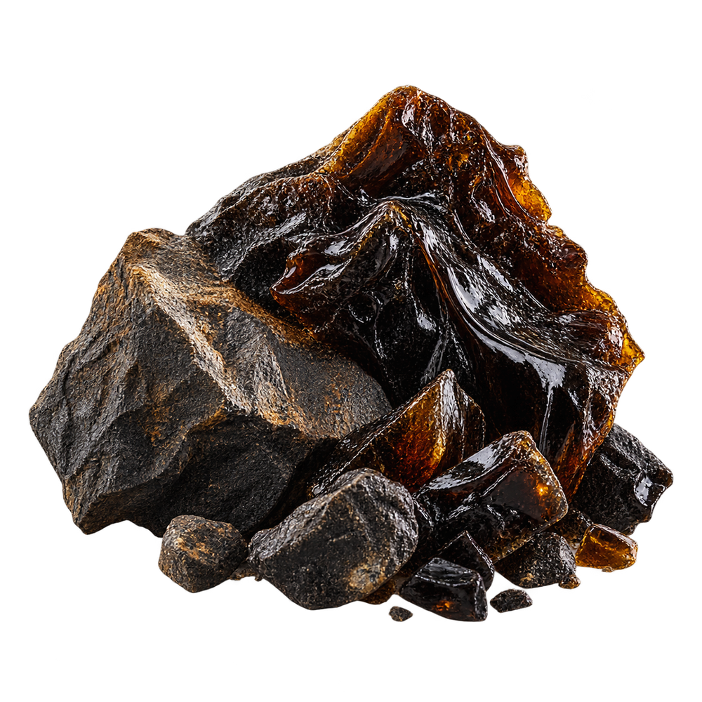 Shilajit Extract 30:1